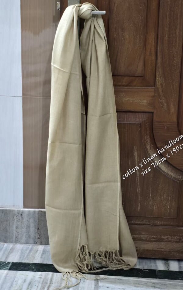 WhatsApp Image 2026-02-26 at 2.59.55 PM