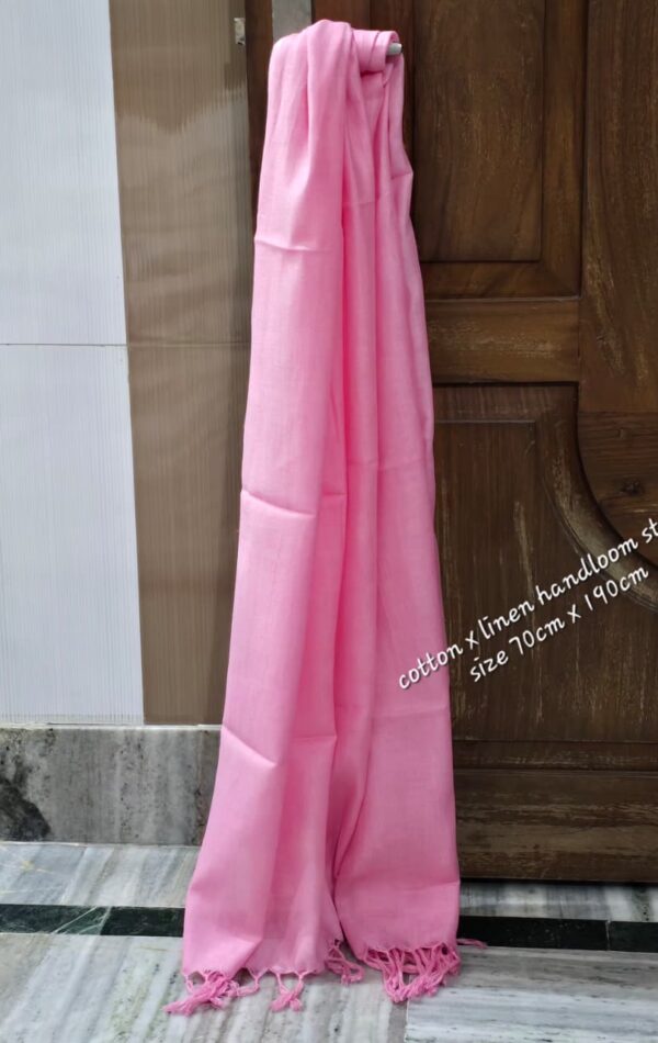 WhatsApp Image 2026-02-26 at 2.59.57 PM