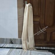 WhatsApp Image 2026-02-26 at 3.00.00 PM