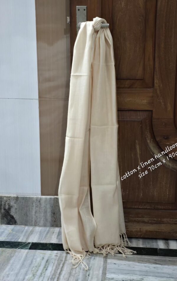 WhatsApp Image 2026-02-26 at 3.00.00 PM