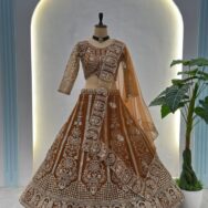 WhatsApp Image 2026-03-02 at 10.40.06 AM